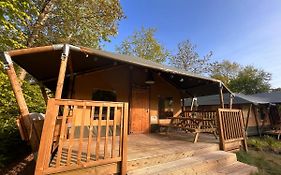 Luxe Safaritent 6 Persoons Op Camping Rijsterbos